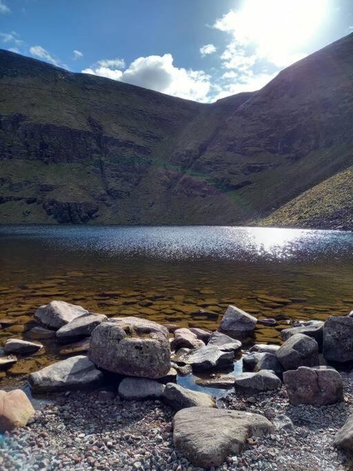 Riverside Cabin Limerick Junction Екстериор снимка