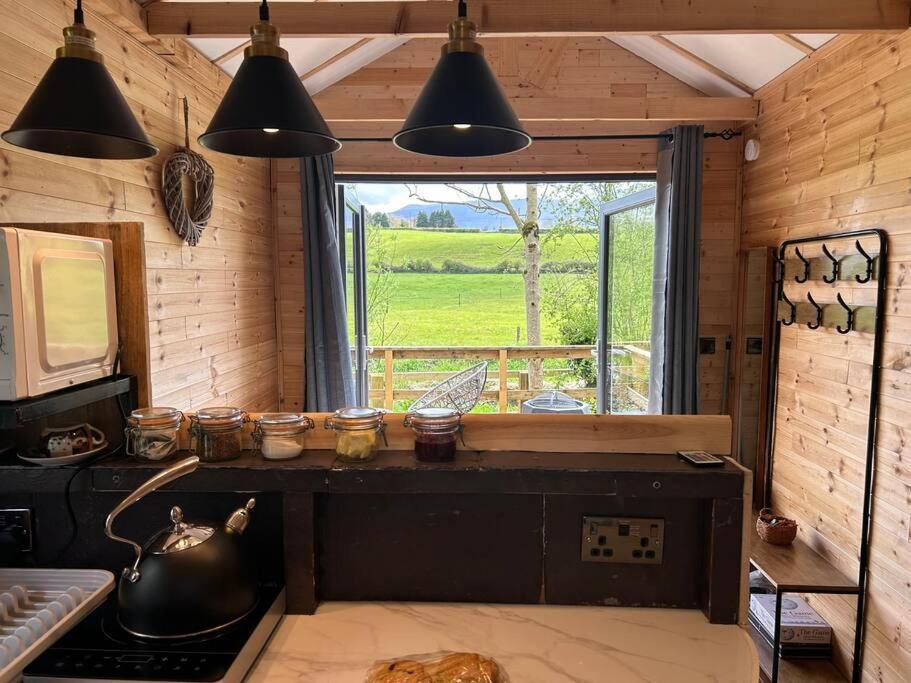 Riverside Cabin Limerick Junction Екстериор снимка