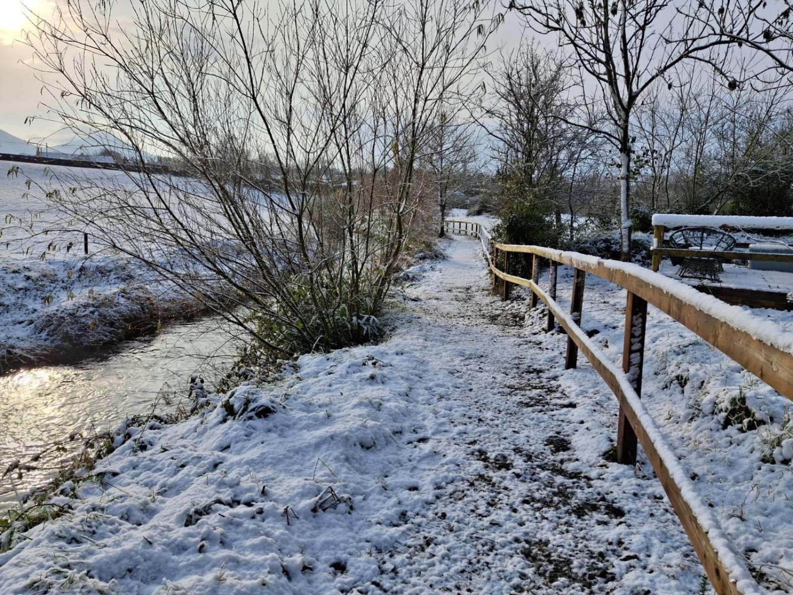 Riverside Cabin Limerick Junction Екстериор снимка
