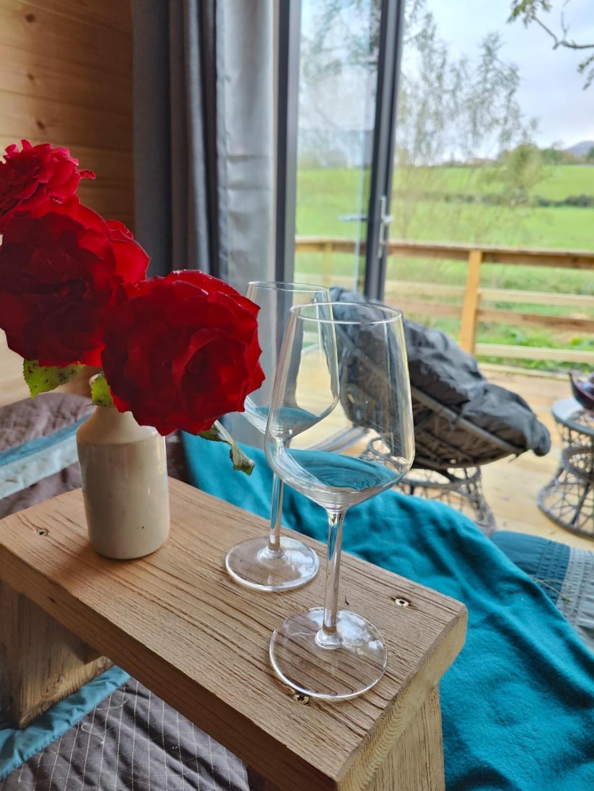 Riverside Cabin Limerick Junction Екстериор снимка